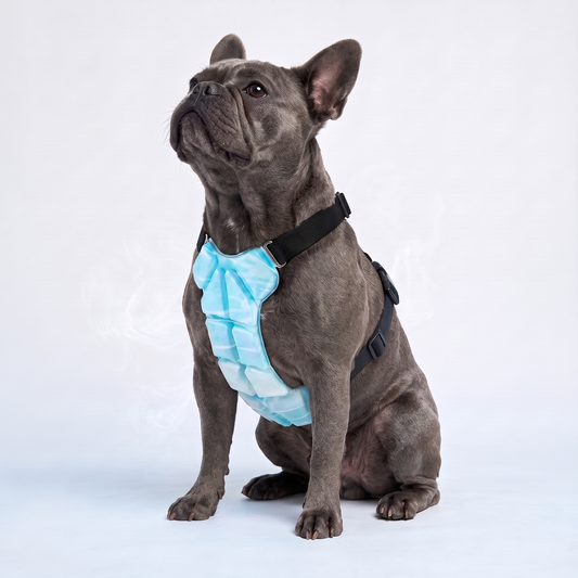 Pupcool Dog Cooling Vest